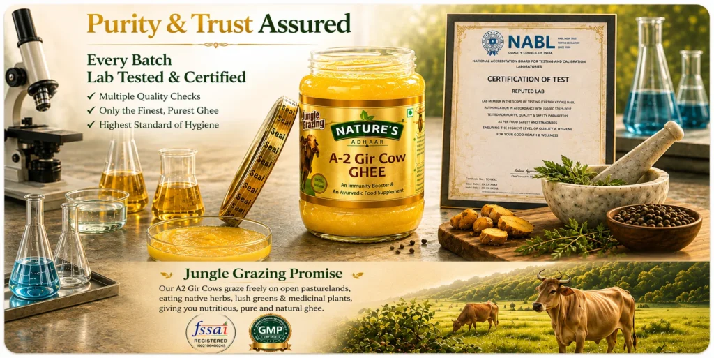 Is A2 Gir Cow Ghee Good for Daily Use