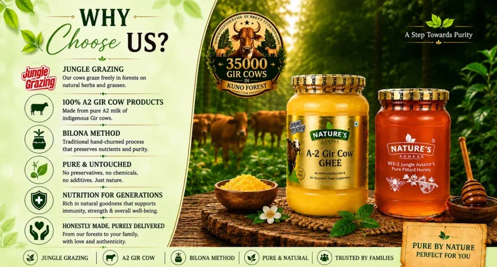 a2 cow ghee