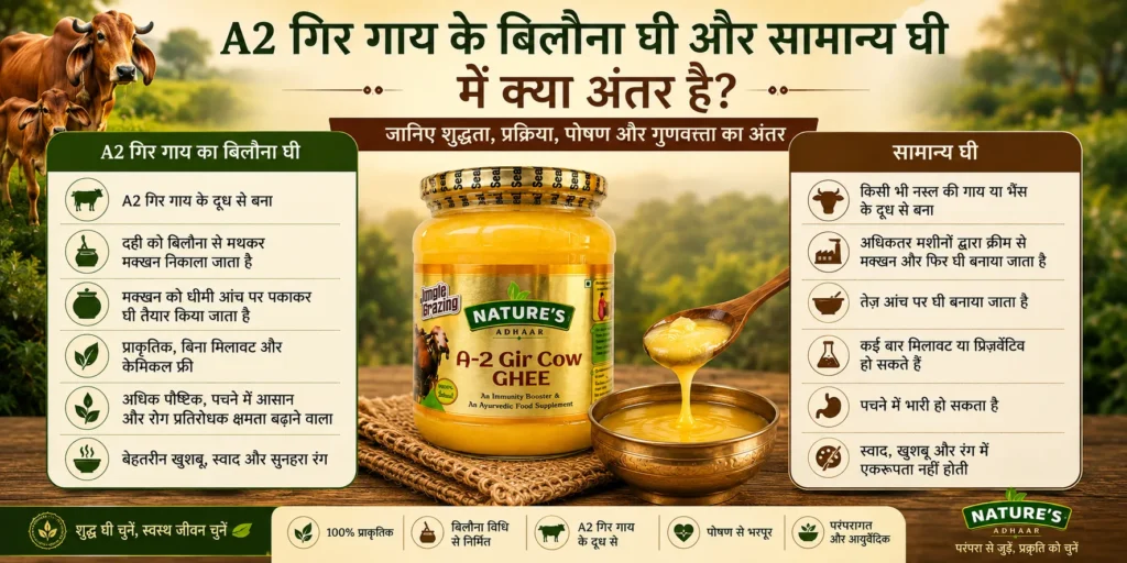 A2 गिर गाय के बिलौना घी और सामान्य घी में क्या अंतर है?