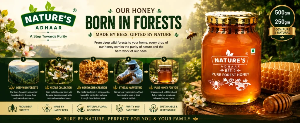 What is Forest Honey? Benefits, Uses & Complete Guide
